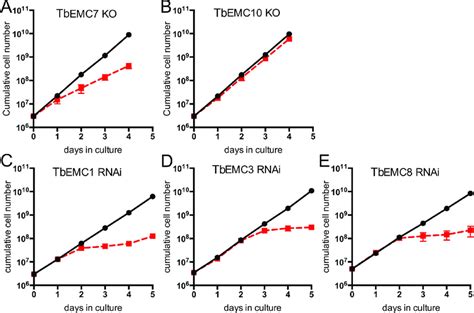 Growth Of T Brucei Procyclic Forms A B Growth Of TbEMC7 KO A And