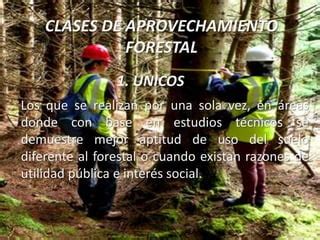 Aprovechamiento Forestal Ppt