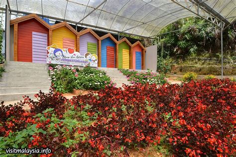 27 Unique Places To Visit In Cameron Highlands Women Wandering Beyond