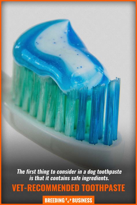 10 Best Vet-Recommended Dog Toothpastes – Ingredients, Reviews, FAQ