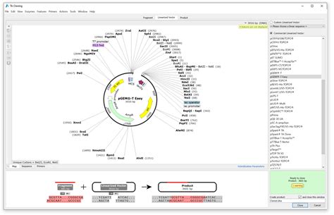 Cloning Pcr Products Snapgene