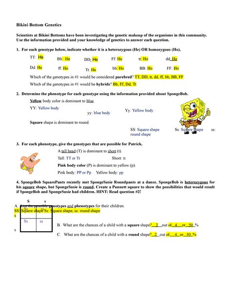 Sponge Bob Genetics Assignment Studyguide Bikini Bottom Genetics