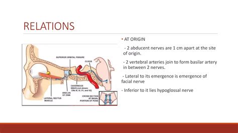 SIXTH CRANIAL NERVE PALSY Diagnosis And Management PPT