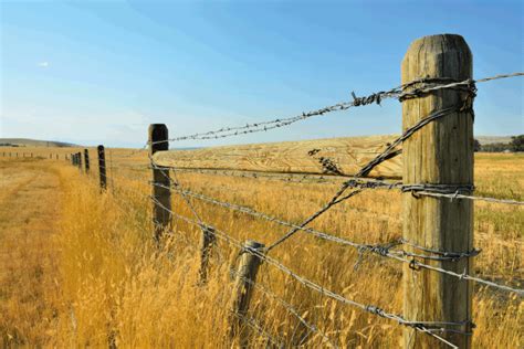 Can You Put Barbed Wire On A Residential Fence Fence Fixation