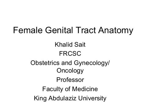 Female Genital Tract Anatomy