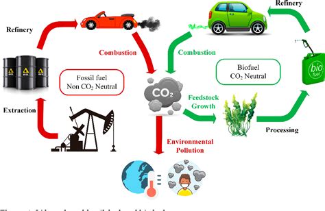 Figure From Composite Liquid Biofuels For Power Plants And Engines