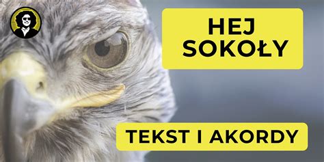 Hej Soko Y Tekst I Akordy Nuty Od Darka