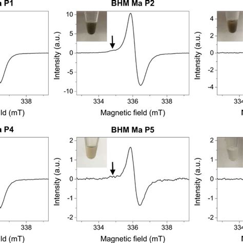 Electron Paramagnetic Resonance Epr Spectra Of Cells Examined In This Download Scientific