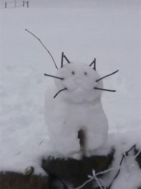 Snow Cat: A Whimsical Snow Sculpture