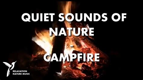 Sons Calmes De La Nature Feu De Camp YouTube