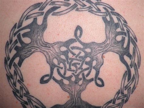 44 Celtic Tree Tattoos On Back