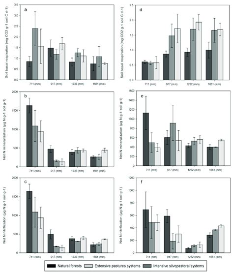 Soil Basal Respiration Net Nitrogen Mineralization And Net