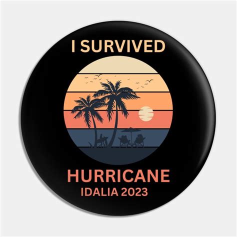 I Survived Hurricane Idalia 2023 I Survived Hurricane Idalia 2023