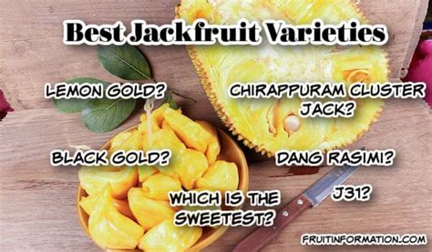 Best Jackfruit Varieties: Taste, Texture & Production ...