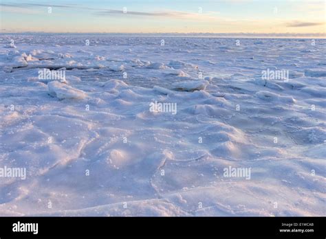 Intertidal Zone Hi Res Stock Photography And Images Alamy