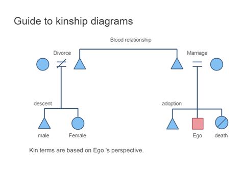 Kinship Diagram Examples EdrawMax Templates