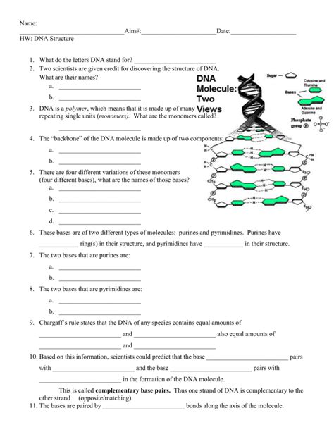 Worksheet 1 Dna Structure