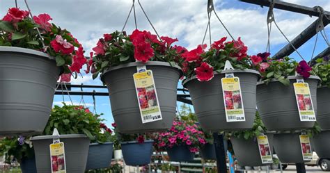 Lowe’s July 4th Sale is Live | Hanging Plants, Grills, & More - The ...