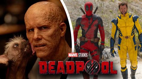 Deadpool 3 2024 Release Date In India Tobi Aeriela