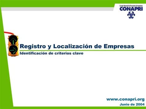 PPT Registro Y Localizaci N De Empresas Identificaci N De Criterios