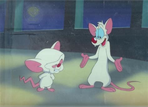 Pinky & The Brain