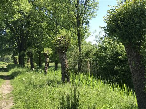 LandStreifer Burgenpatt Hohe Mark Steig Mein Band Zur Natur