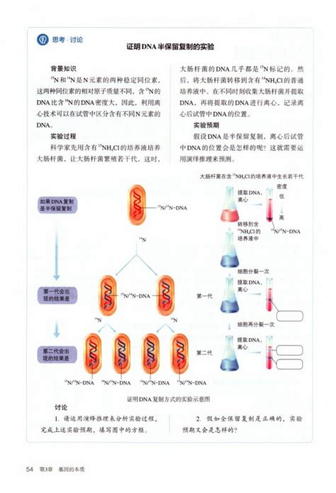 《第3节 Dna的复制》2019年审定人教版高中生物必修二高中课本 中学课本网