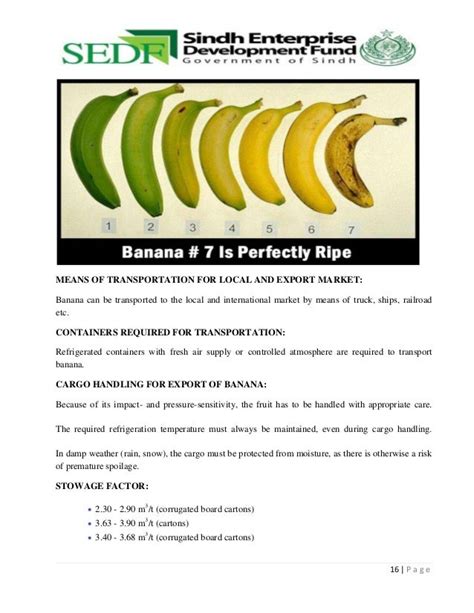 World History Of Banana