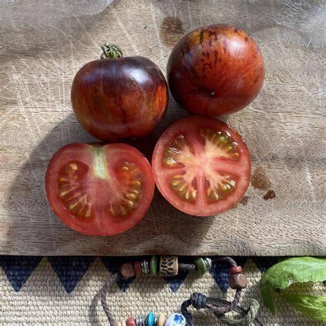 Saatgut Samen Von Der Tomate K Nigin Der Nacht