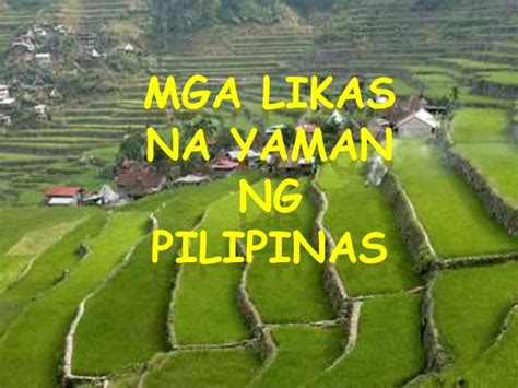 Likas na yaman ng pilipinas