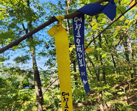 대전 대덕구 가볼 만한 곳 오색빛깔 단풍이 반겨주는 곳 대청호 오백리길 1구간 대전광역시 대덕구 웰로