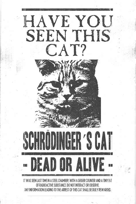 Schrodinger Cat Etsy Canada Graphic Poster Poster Prints Vintage Poster Art