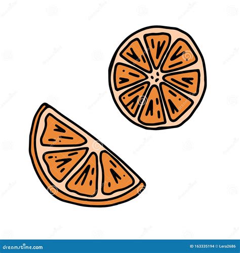 Hand Drawn Orange Slices Color Vector Illustration Stock Illustration