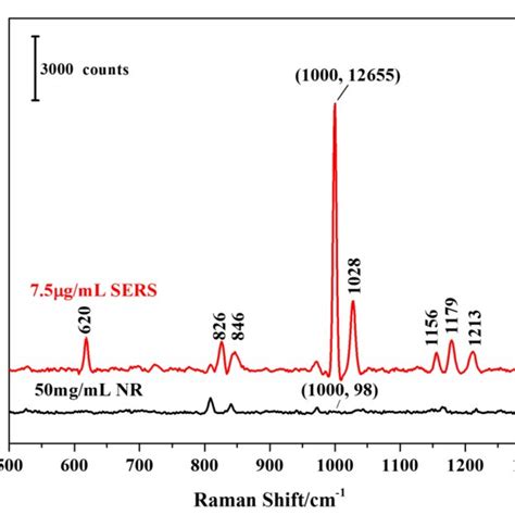 Sers Spectrum Red Of Bh At A Concentration Of G Ml And Normal