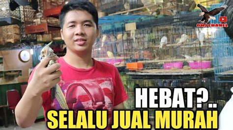 Kios Burung Ini Selalu Jual Murah Sangat Di Minati Kicau Mania Kios