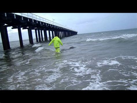 Hervey Bay Urangan Pier Fishing Youtube