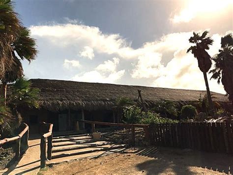 VisitAruba.com | Aruba Ostrich Farm