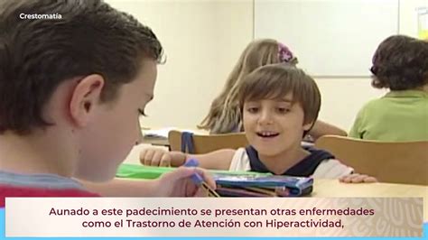 Guía Completa Sobre El Síndrome De Tourette En La Escuela Causas