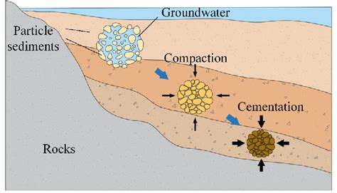 Sedimentary Rock Compaction And Cementation