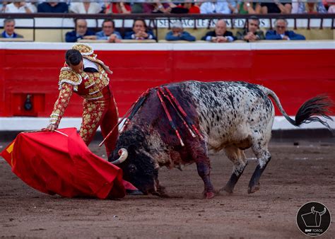 TOREAR A UN RUISEÑOR Cuadernos de Tauromaquia