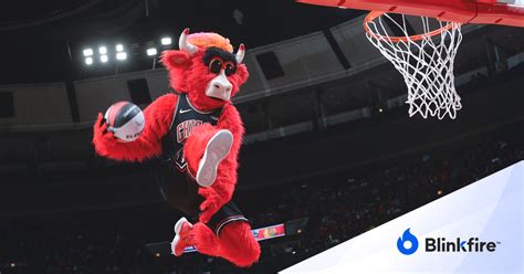 The Rise of Sports Teams’ Mascots on Social Media | Blinkfire Blog