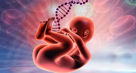 Fetal Dna Testi Turklab