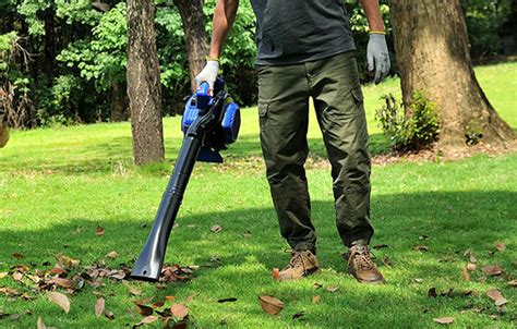 Gas Vs Electric Leaf Blowers Pros And Cons For Yard Care