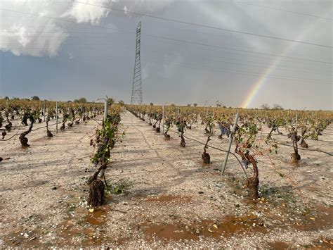 El granizo arrasa viñedos en varios puntos de La Mancha y la Manchuela