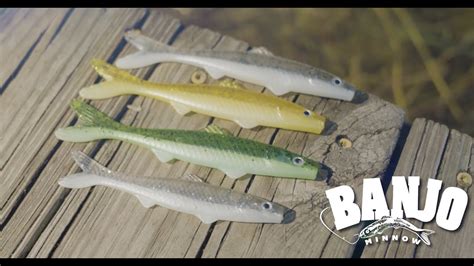 Why The Banjo Minnow Is Every Anglers Must Have Youtube