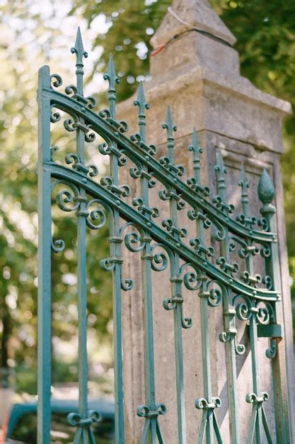 Puerta de metal de hierro forjado verde en el jardín Foto Premium