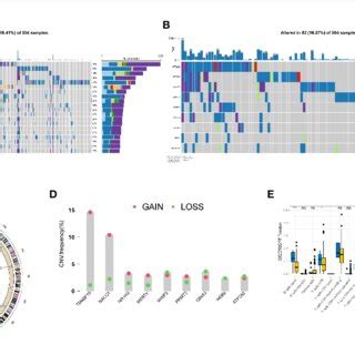 Genetic Variation Landscape Of Key Genes In Endometrial Cancer A