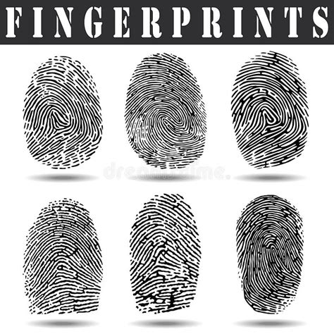 Fingerprints Stock Vector Illustration Of Isolated Including