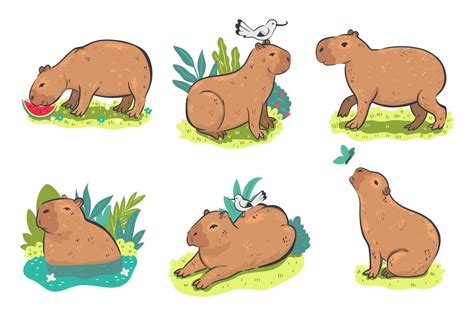 Capybara Vector Art, Icons, and Graphics for Free Download