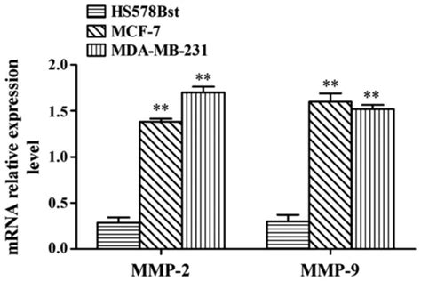 The Relationship Between Mmp 2 And Mmp 9 Expression Levels With Breast